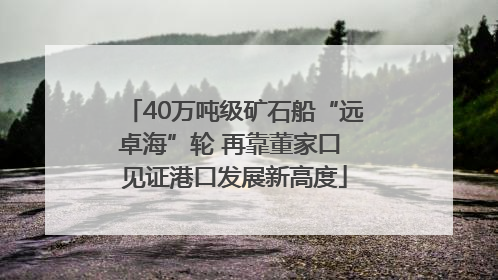40万吨级矿石船“远卓海”轮 再靠董家口 见证港口发展新高度