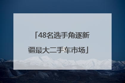 48名选手角逐新疆最大二手车市场