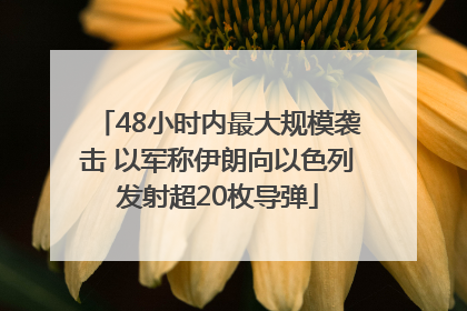48小时内最大规模袭击 以军称伊朗向以色列发射超20枚导弹