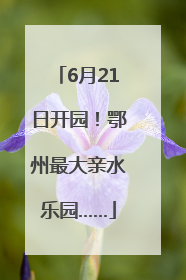 6月21日开园！鄂州最大亲水乐园……