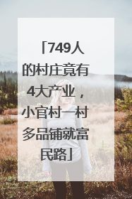 749人的村庄竟有4大产业，小官村一村多品铺就富民路