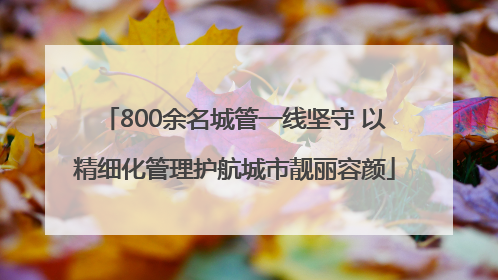 800余名城管一线坚守 以精细化管理护航城市靓丽容颜