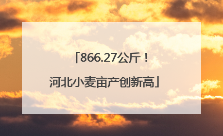 866.27公斤！河北小麦亩产创新高