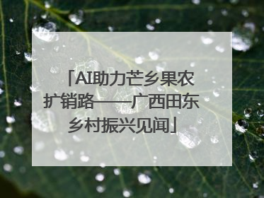 AI助力芒乡果农扩销路——广西田东乡村振兴见闻