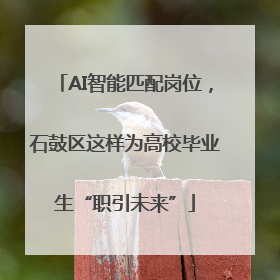 AI智能匹配岗位，石鼓区这样为高校毕业生“职引未来”