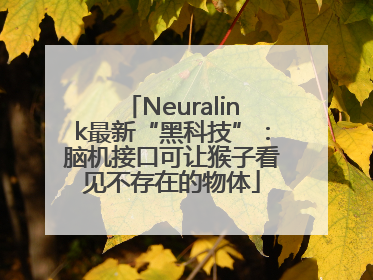 Neuralink最新“黑科技”：脑机接口可让猴子看见不存在的物体
