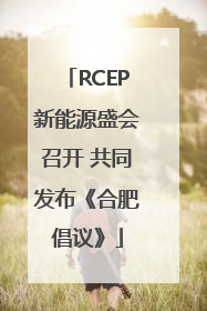 RCEP新能源盛会召开 共同发布《合肥倡议》